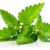 Hangsen Green Mint E-Liquid